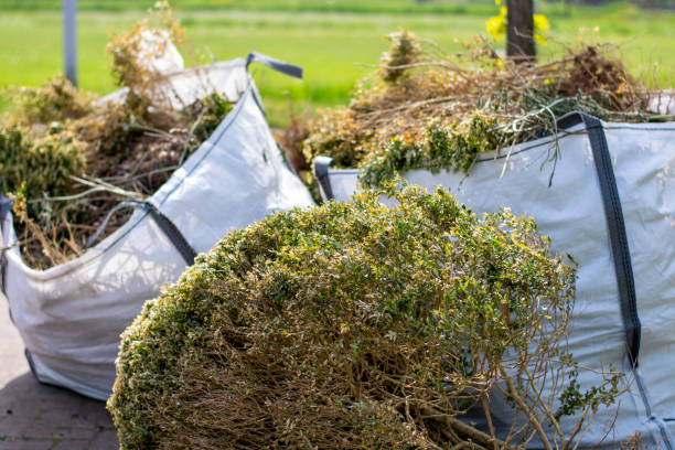 Shed Removal in Belle, MO